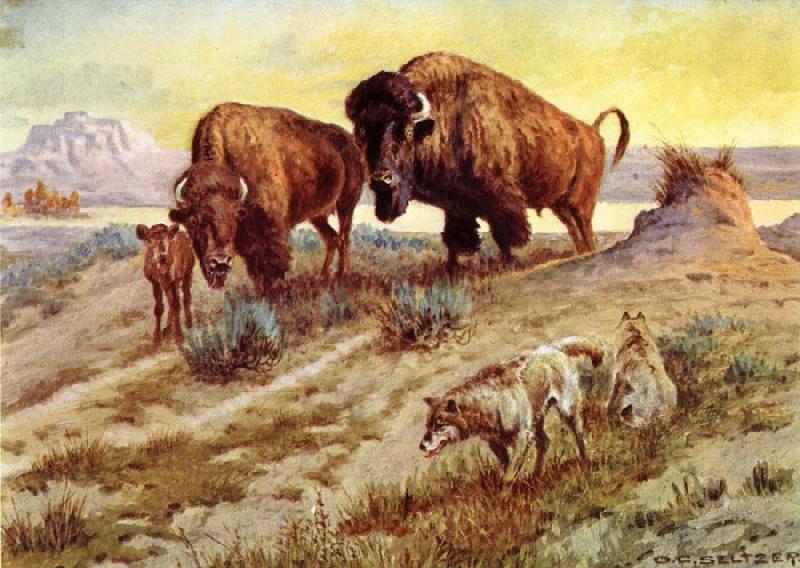 unknow artist Buffalo Family Norge oil painting art